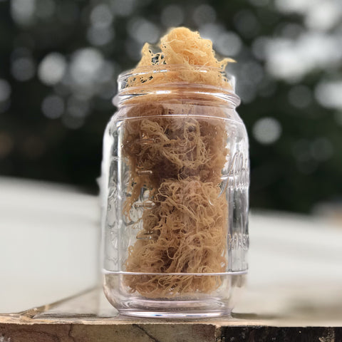 Premium Wild Harvested Sea Moss Media